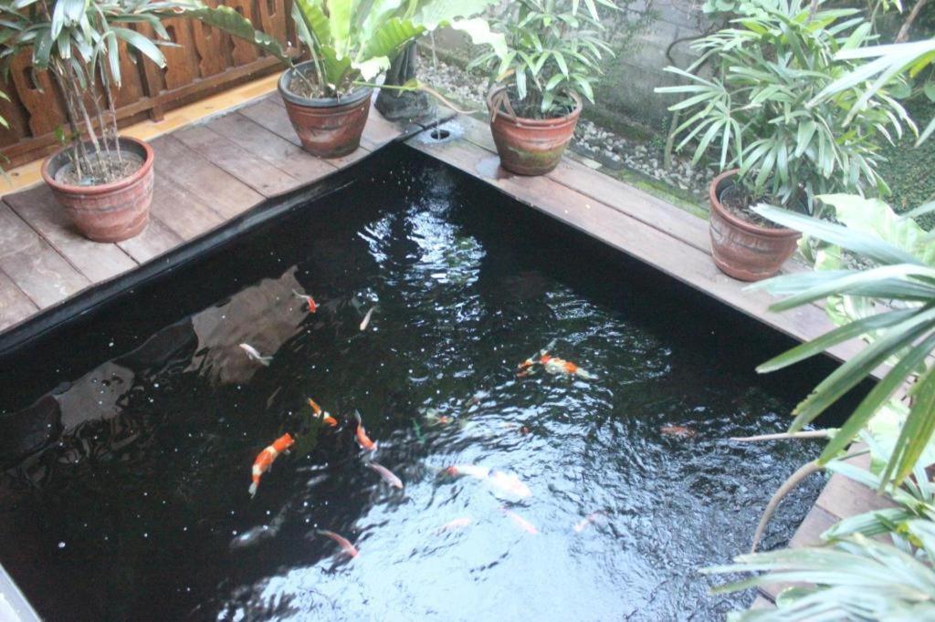 Joglo Ayem Tentrem Prambanan Extérieur photo